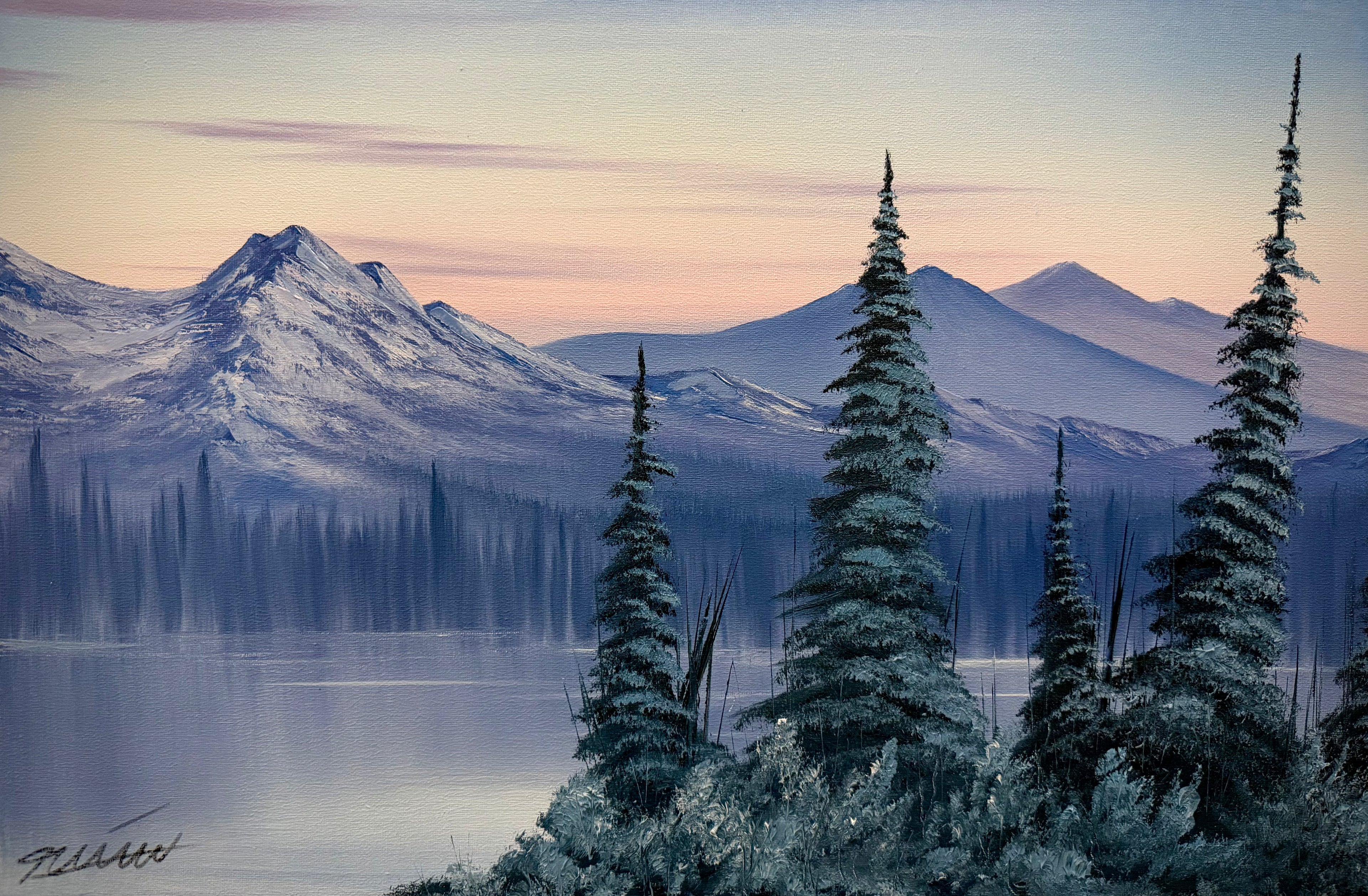 winter morning glory