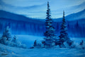 blue winter
